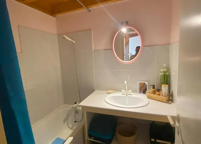 Апартаменты Jolie Vue Et Piscine Люс-Сен-Совёр